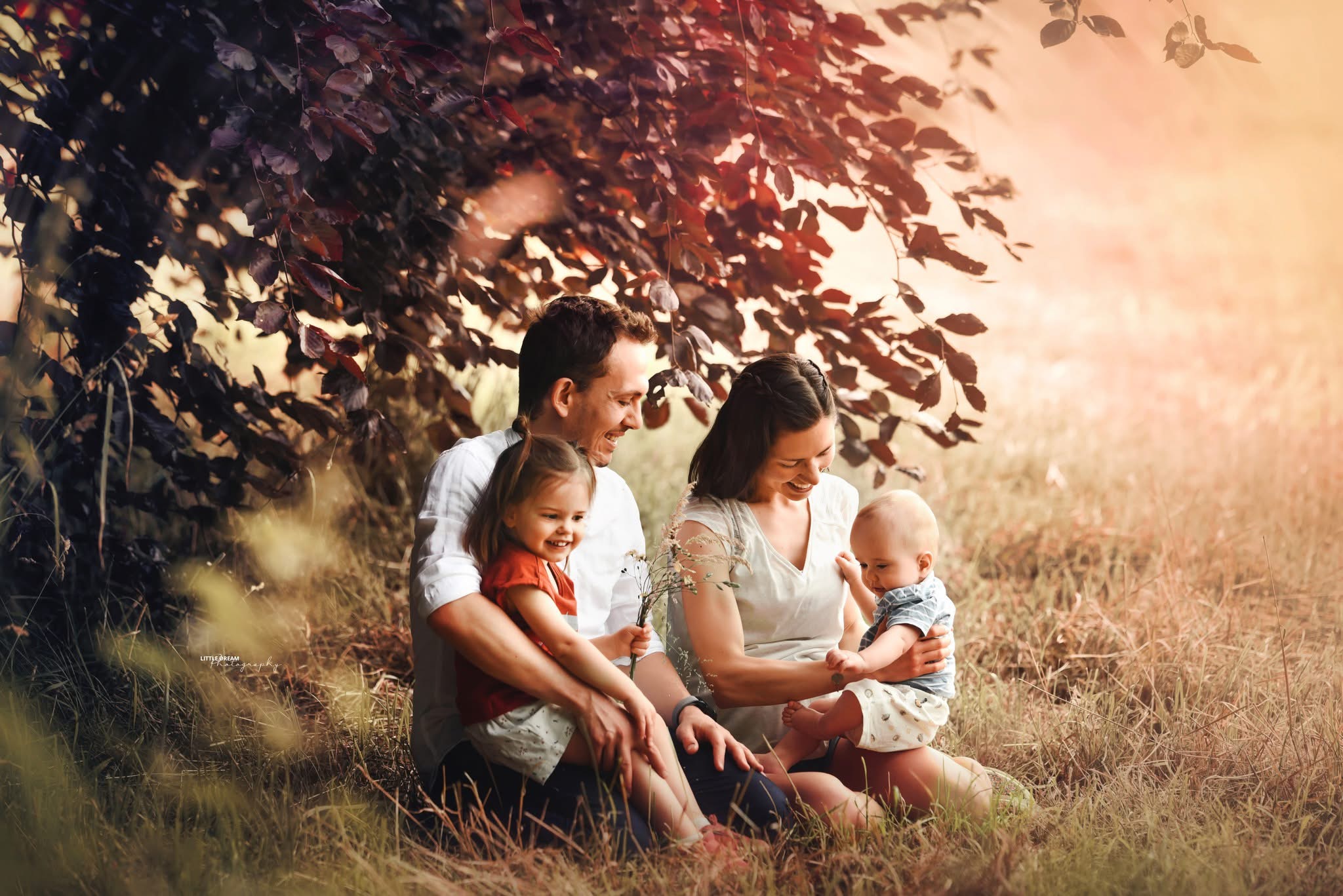 famille — Little Dream Photography