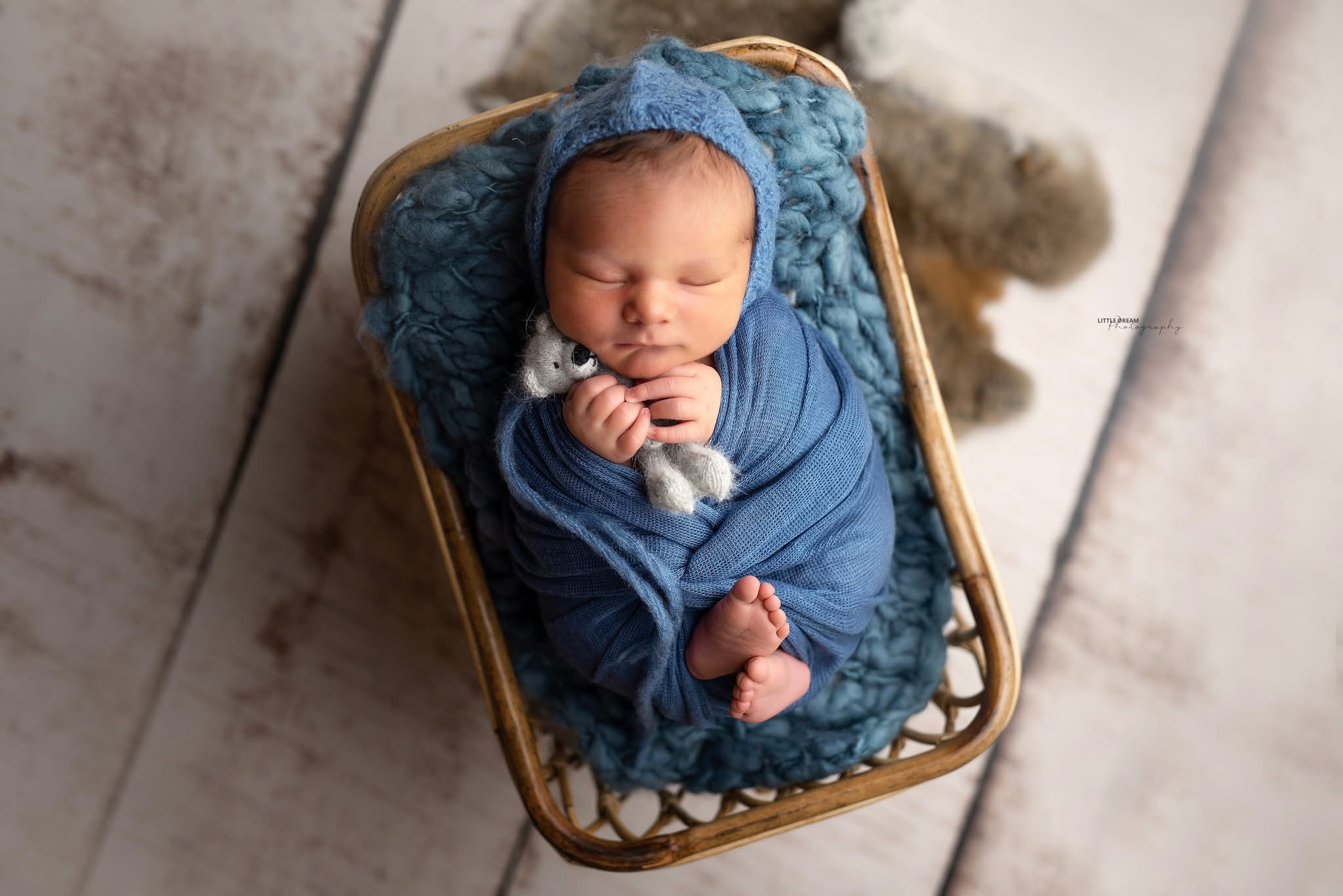 naissance — Little Dream Photography