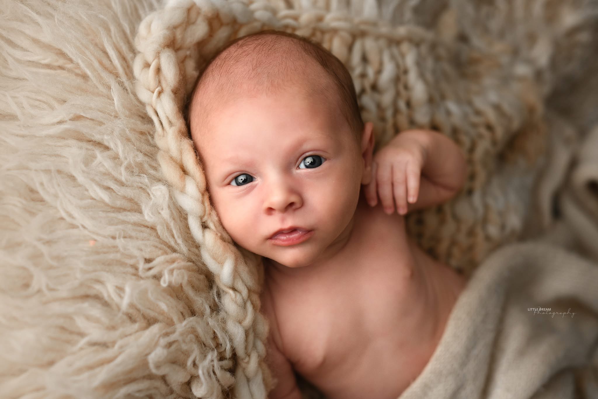 naissance — Little Dream Photography